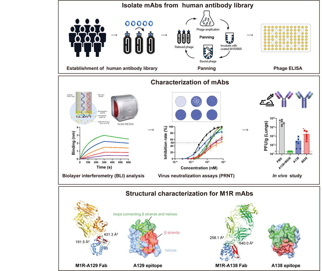 新聞稿圖qyy片(2)