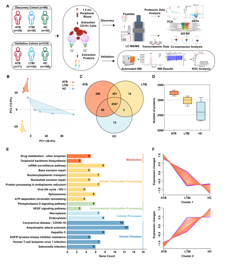 Figure1-小畫板_畫板 1
